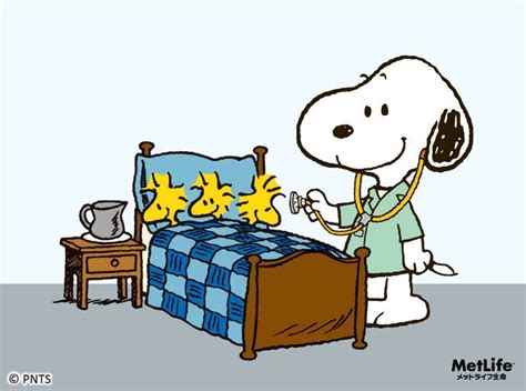 736x548 Best 25 Snoopy doctor ideas Snoopy, Woodstock | Snoopy pictures, Snoopy cartoon, Snoopy love