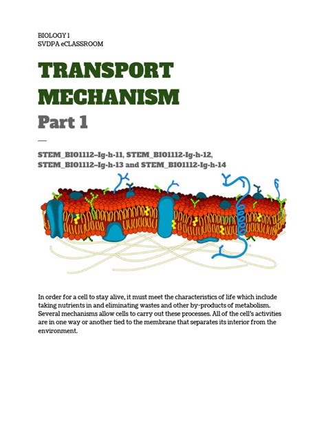 05 Transport Mechanism, Part 1 | PDF