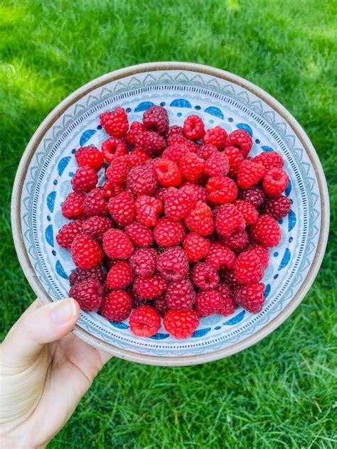 Quick Stovetop Raspberry Jam Sauce