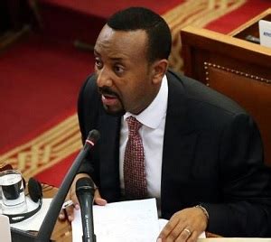 Ethiopia Approves $12.6b Annual Budget