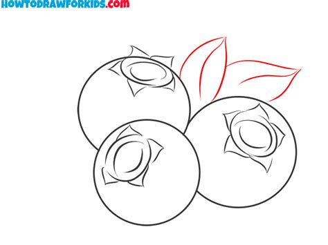 How to Draw a Blueberry - Easy Drawing Tutorial For Kids