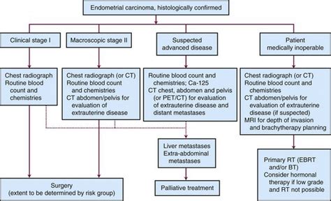 Endometrial Cancer | Oncohema Key