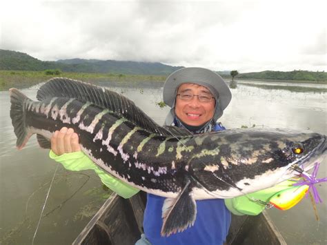 Thailand Giant Snakehead (Toman) And Wild Fishing.: The Broken Rod !!! The Mighty MAMA Toman ...