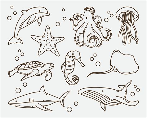 Sea Animals Coloring Vector Art, Icons, and Graphics for Free Download