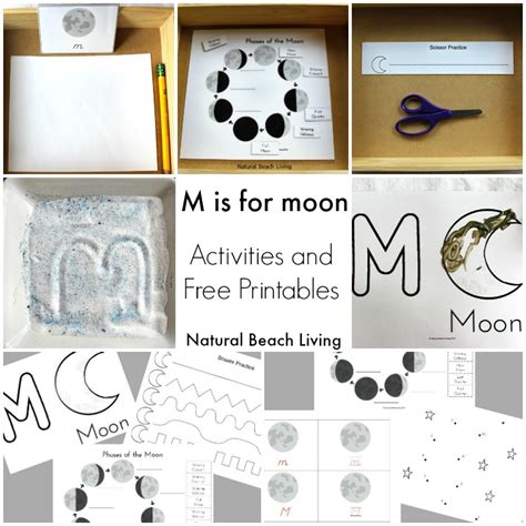 Moon Activities Montessori Astronomy