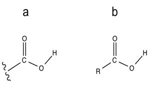 Carboxyl Group Structure & Examples | What is a Carboxyl Group ...