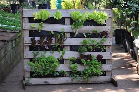 Potager Avec Palette Potager Vertical Conseils De Fabrication Et Plantation - Idees Conception ...