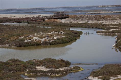 Alviso, CA | Outdoor, Photo, Perfect place