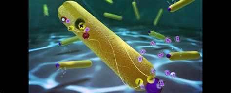 Scientists Perform Key Step in The Water-Splitting Reaction With 100 ...