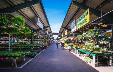 Capitol Market Outdoor Farmer's Market Opens for 2020! - Capitol Market