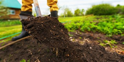 Winter Learn Series: Garden Soil and Topsoil ­– What’s the Difference? | Plant Perfect