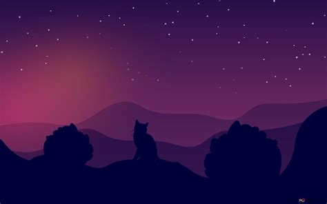 Cat & Sunset HD wallpaper download