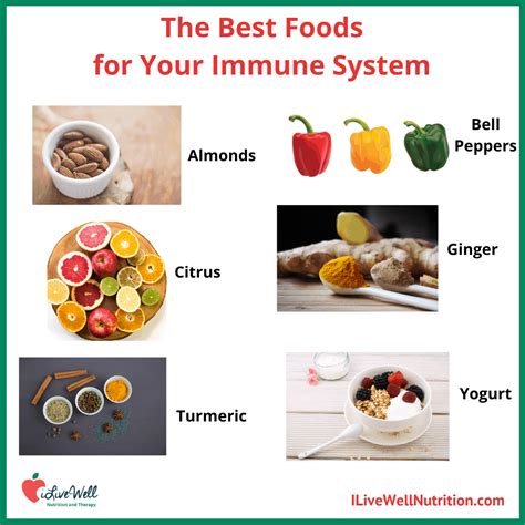 Now is the Time to Boost Your Immune System