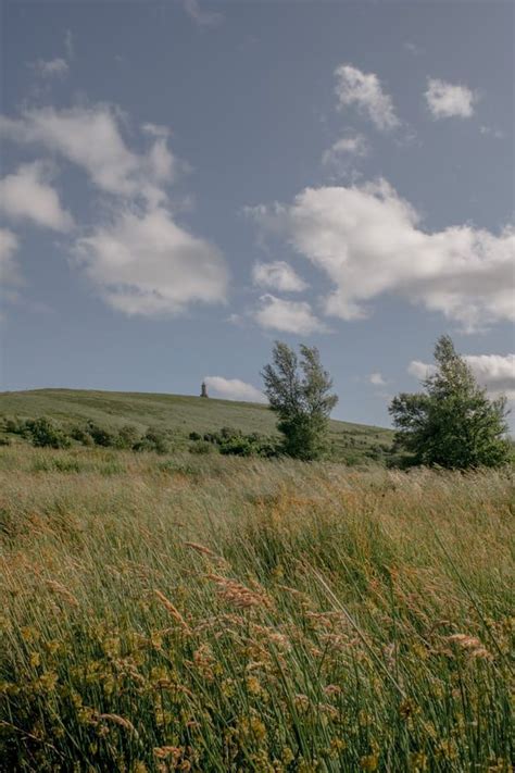 green grass field photo – Free Field Image on Unsplash | 風景 イラスト, 風景, 美しい場所