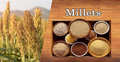 What is Millet, Types of millets and their health benefits