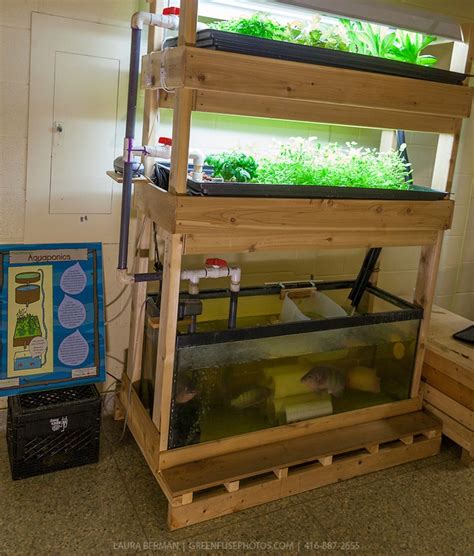 Indoor AP system | Mini Aquaponics | Pinterest