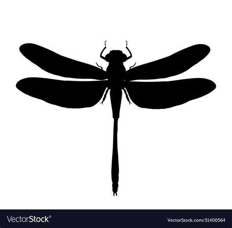 Dragonfly silhouette isolated Royalty Free Vector Image