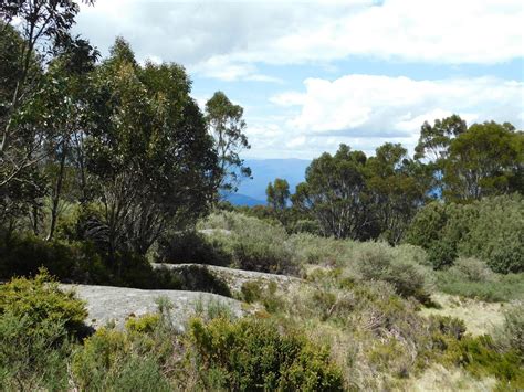 Baw Baw National Park - Baw Baw VIC 3833, Australia