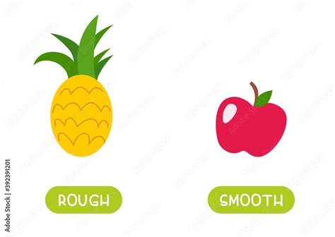 ROUGH and SMOOTH antonyms word card vector template. Flashcard for english language learning ...