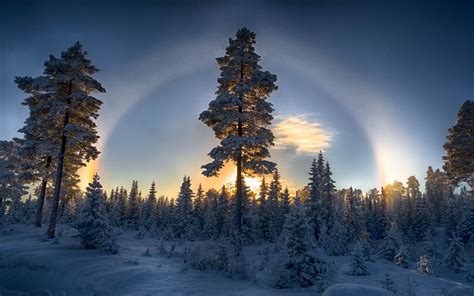 nature, Landscape, Sunset, Forest, Winter, Halo, Trees, Cold, Snow, Sky, Blue Wallpapers HD ...