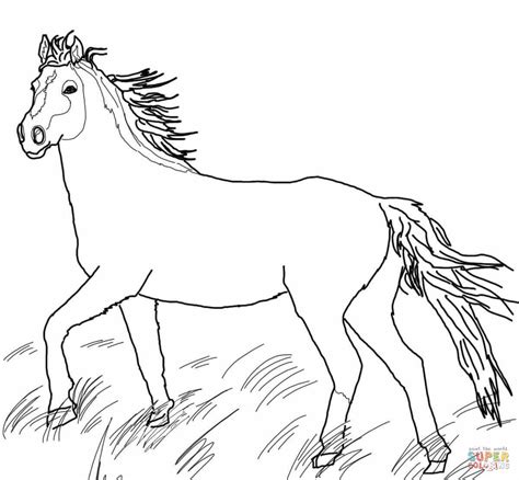 Mustang Wild Horse coloring page | Free Printable Coloring Pages