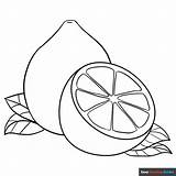 Lemon Coloring Page  Easy Drawing Guides sketch template