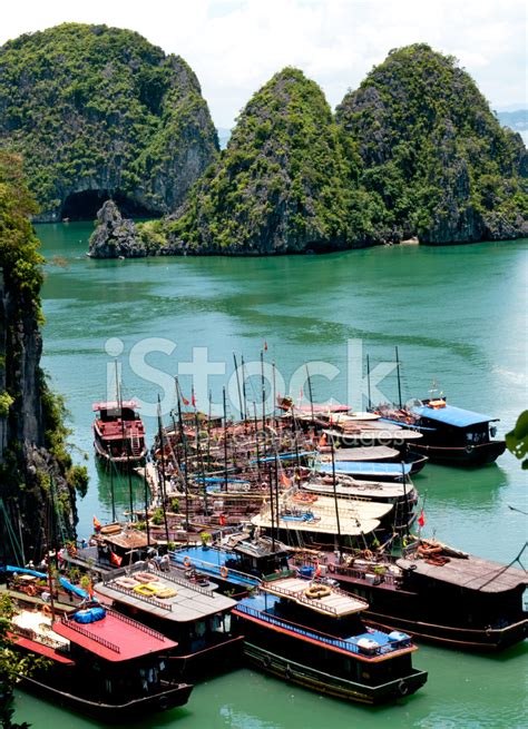 Tourist Boats, Halong Bay, Vietnam Stock Photo | Royalty-Free | FreeImages