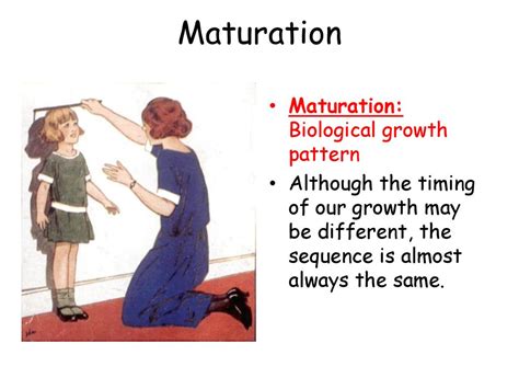 Developmental Psychology - ppt download