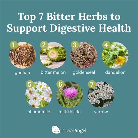 Digestive Bitters: 7 Amazing Herbs for Your Gut - Dr. Pingel