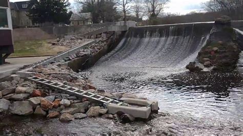 FISH MIGRATION AND THE MILL POND FISHWAY IN CENTERBROOK | Experience Essex, CT