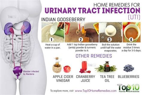 Home Remedies for Urinary Tract Infection (UTI) | Top 10 Home Remedies