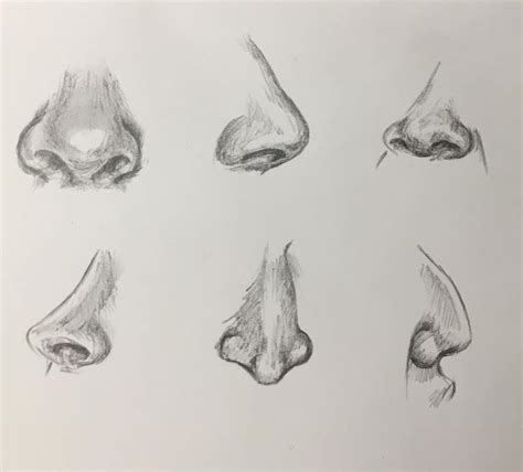 How To Draw A Human Nose For Beginners - musingsofthemiddleschoolminds