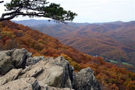 Slices of Life: Fall foliage reports for Virginia and free maps