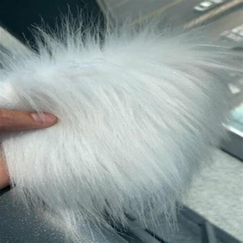 Black Fox Fur White at Best Price in Delhi | Jai Chanda Traders