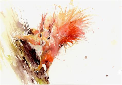 limited edition PRINT of my original RED SQUIRREL watercolour | Jen ...