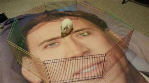 Nicolas Cage is not happy about the 'cage rage' internet memes