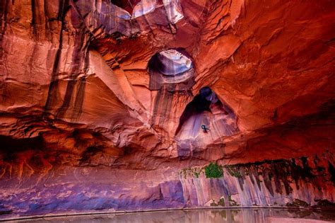 Golden Cathedral, Escalante Utah. Neon Canyon | Escalante utah, Escalante national monument ...