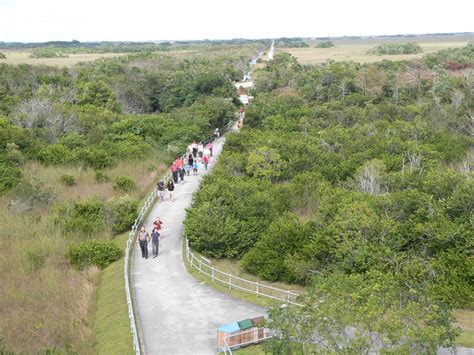 Everglades National Park Shark Valley Tram Road in Everglades | VISIT ...