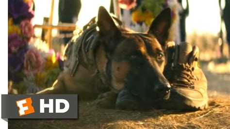 Dog (2022) - Military Funeral Scene (8/10) | Movieclips - YouTube