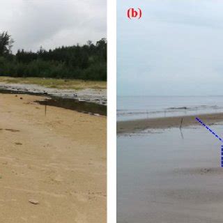 Erosion of the beach berm (a) and formation of the underwater sandbar ...