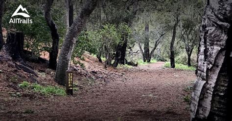 Best hikes and trails in Mission Trails Park | AllTrails