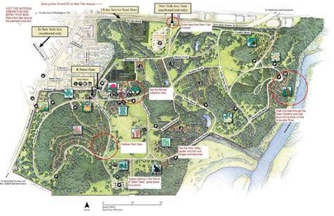 National Memorial Arboretum Map – Verjaardag Vrouw 2020