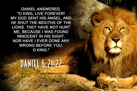 Daniel in the Lion’s Den | Names of jesus, Tribe of judah, Quotes about god