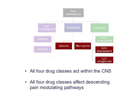 Mechanism of action of analgesics (2012)