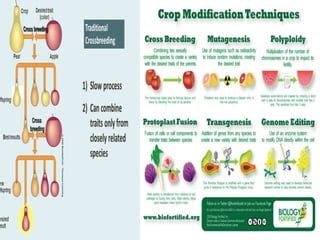 Food biotechnology | PPT