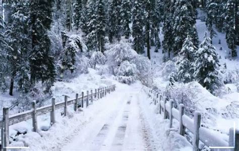 Murree Snowfall 2023 Season Weather Updates & Latest Images