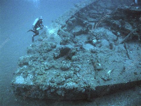 Diver at USS Monitor shipwreck - Stock Image - C025/3312 - Science ...