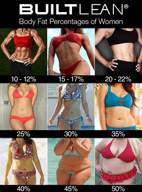 What Body Fat Percentages Actually Look Like - Kubex Fitness