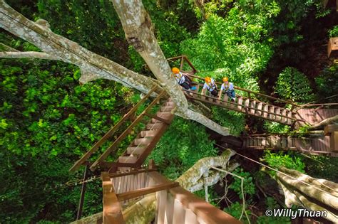 Flying Hanuman Phuket - Zipline near Patong Beach - PHUKET 101