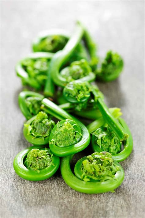 What are Fiddleheads and When Are They In Season?